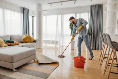 Living Room Cleaning