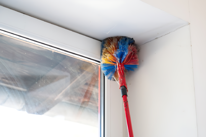 Ceiling dusting & cobweb cleaning - Image 2